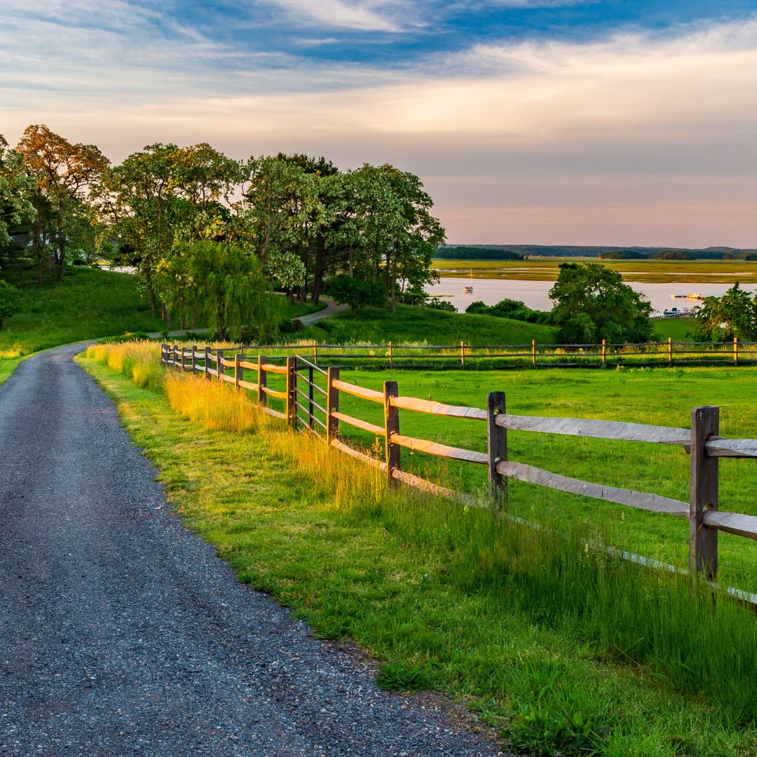 Back Bay Farm
